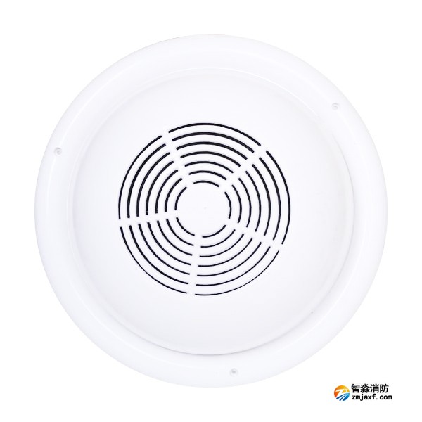 西藏海灣WY-XD5-5明裝式音箱