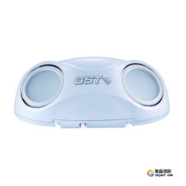 西藏海灣HW-ZFJC-E3W-N660/E6W-N661集中電源集中控制型消防應急照明燈具