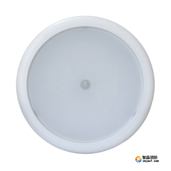 西藏海灣HW-ZFJC-E6W-N656HW集中電源集中控制型消防應急照明燈具