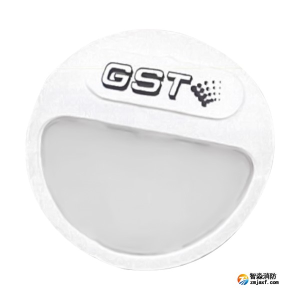 西藏海灣HW-ZFJC-E3W-YN660集中電源集中控制型消防應(yīng)急照明燈具（3W壁掛照明燈)