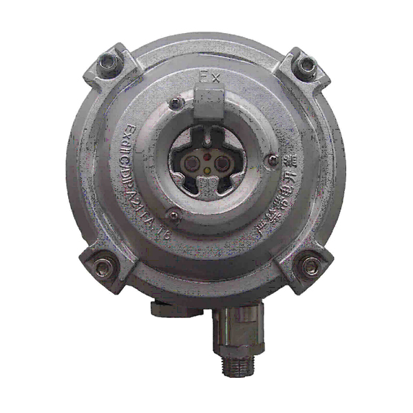 西藏海灣D-9107R防爆點(diǎn)型紅外火焰探測器